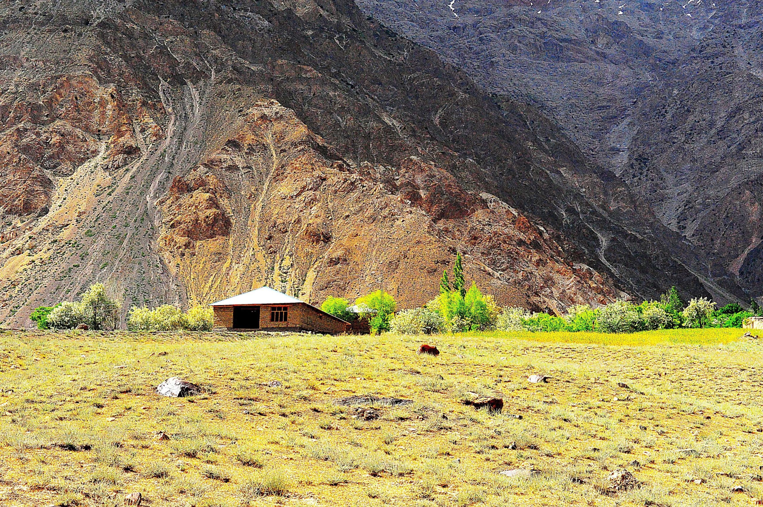 khyber pakhtunkhwa