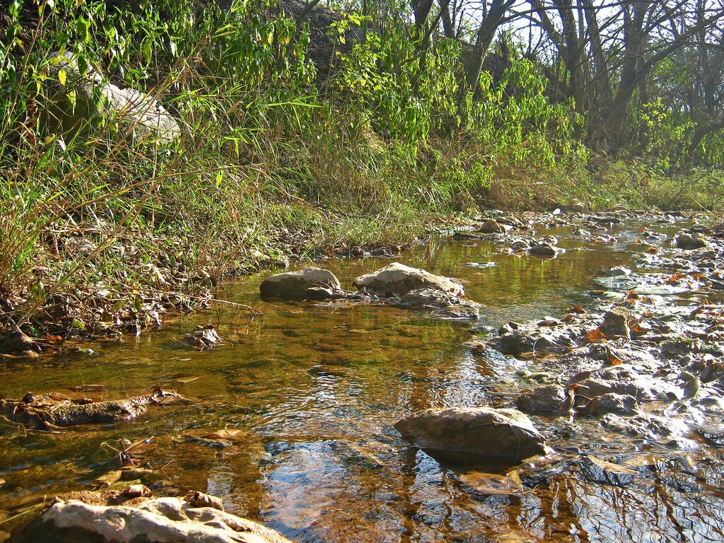 Margalla Hills Trail 5 Hiking Tour