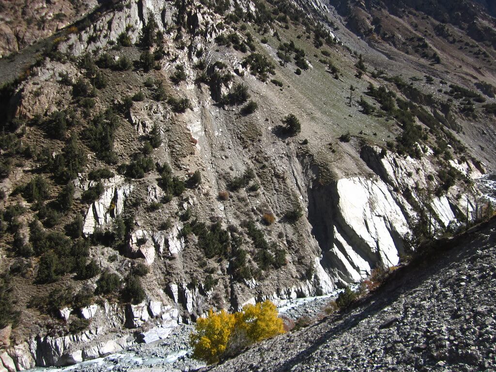 pakora pass