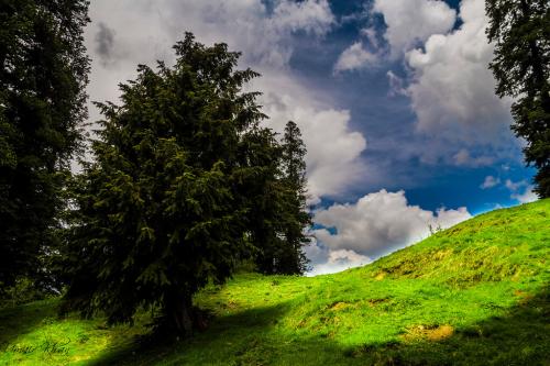 ayubia & nathia gali tour