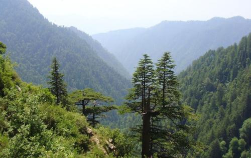 ayubia & nathia gali tour