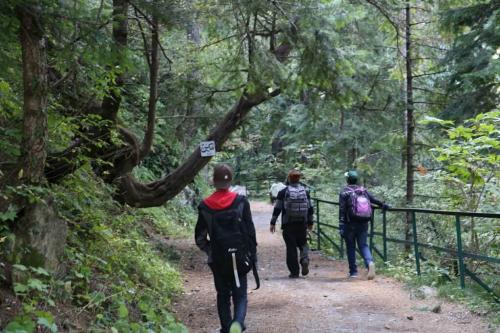 ayubia & nathia gali tour