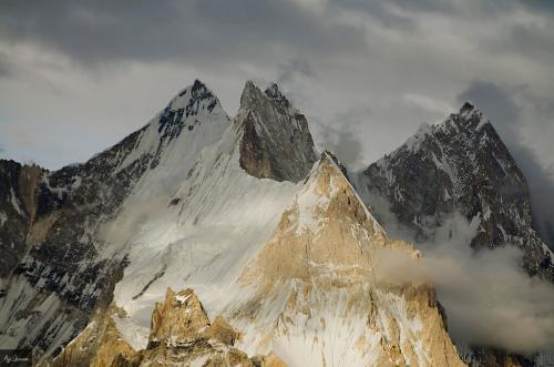 gasherbrum v expedition