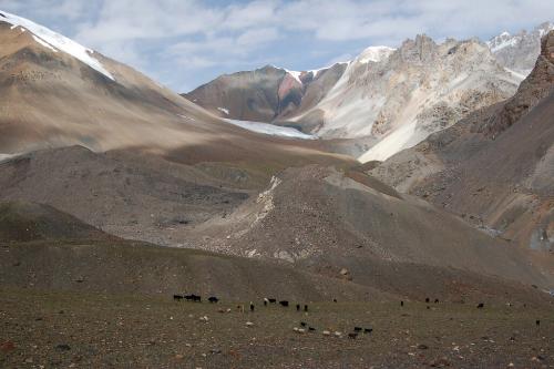 lupghar pasture trek