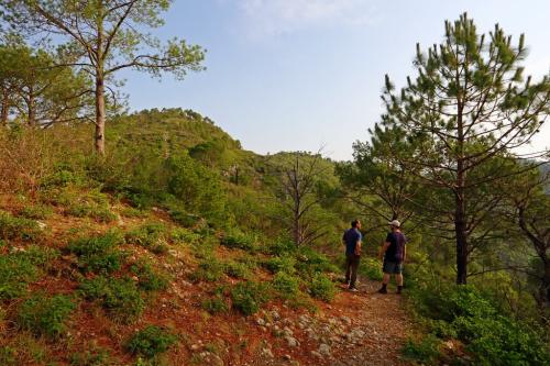 margalla hills trail 5 hiking tour