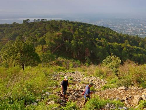 margalla hills trail 5 hiking tour