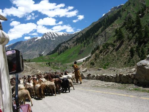 naran kaghan shogran tour