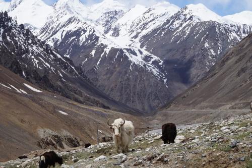 pakistan hindukush karakoram