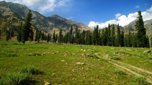 pakistan under a pagan moon