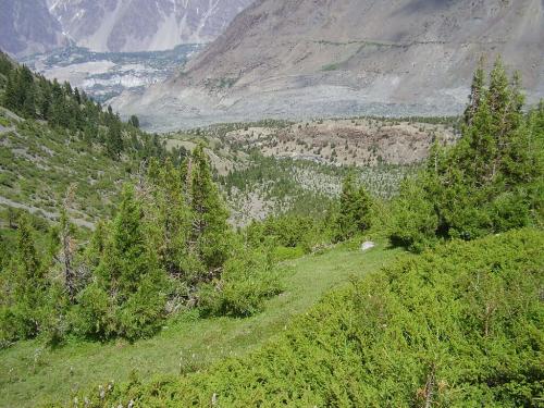 rakaposhi base camp trek