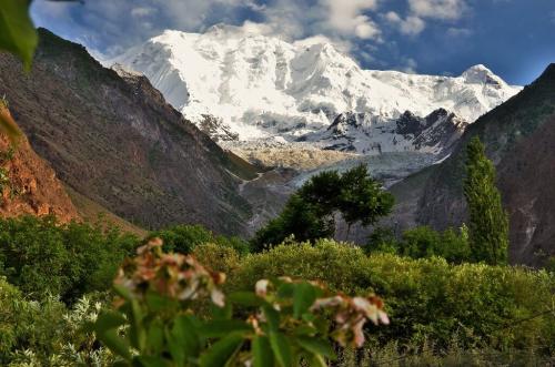 rakaposhi expedition