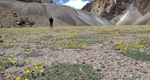 shimshal  chanfchingol pass