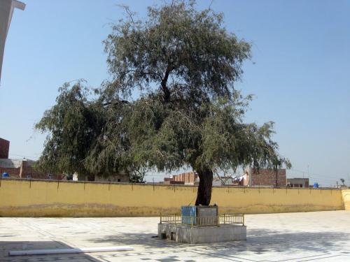 sikh pilgrimage to pakistan