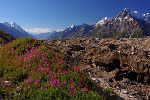 snow lake trek