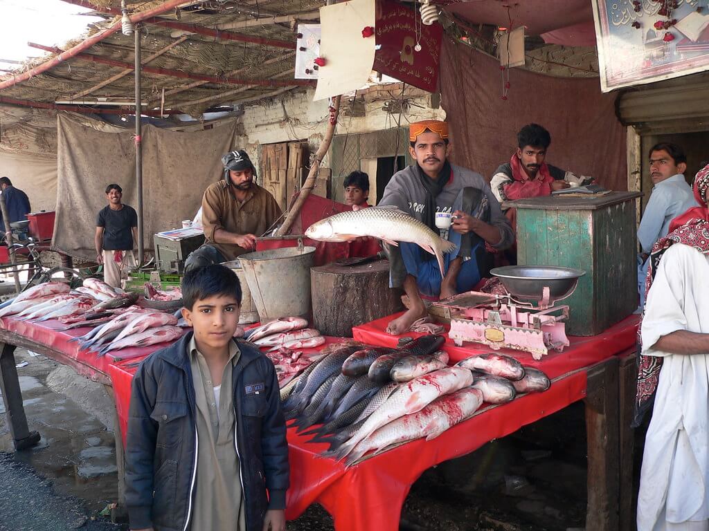 Fish Market