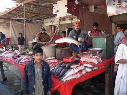 southern pakistan journey through the indus valley