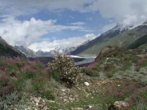 spantik base camp trek