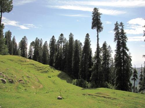 thandiani & abbottabad tour