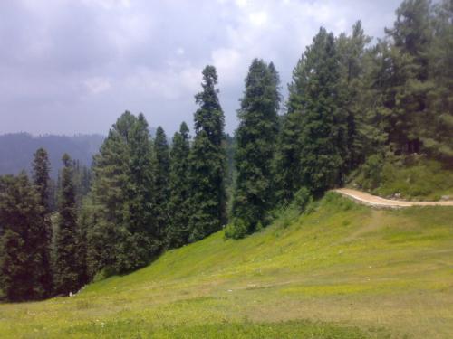 thandiani & abbottabad tour