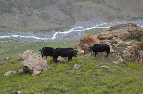 walking in pakistan journey to the roof of the world