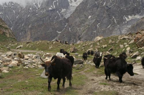 k2 base camp trek